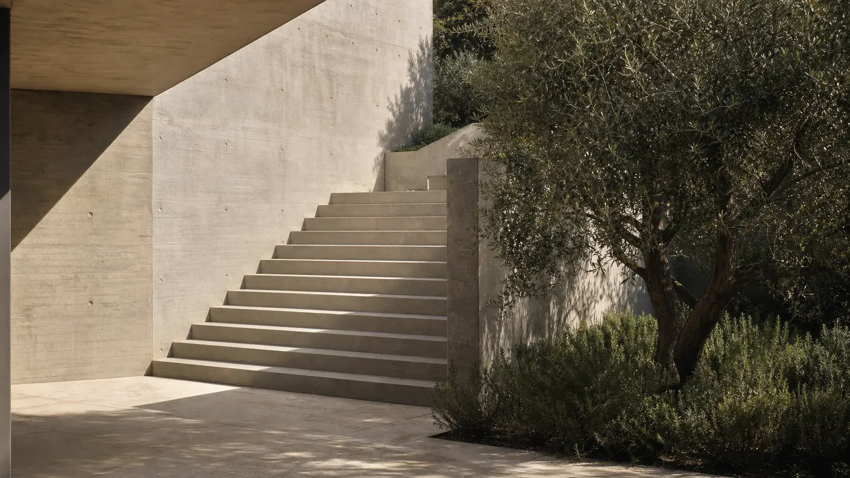 Escalera de concreto en un patio residencial rodeada de vegetación